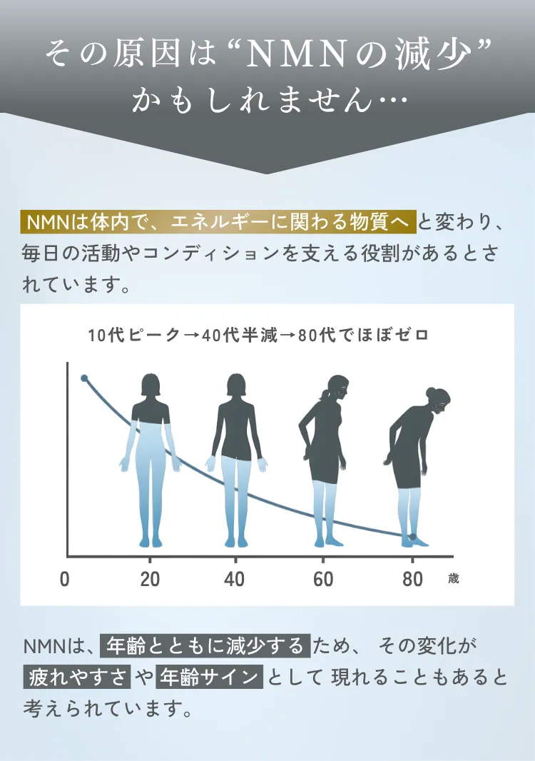 その原因は'NMNの減少かもしれません'