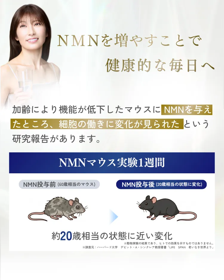 NMNを増やすことで健康的な毎日に